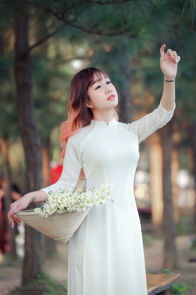 动漫卡片